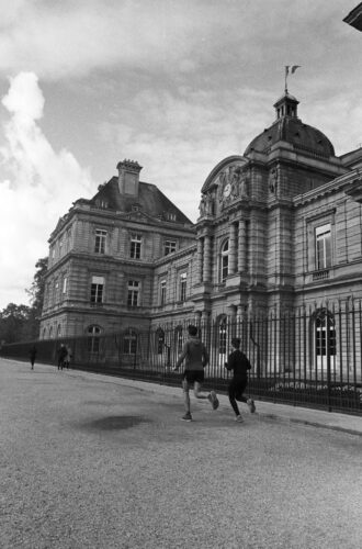 Photographie du jardin du Luxembourg à Paris effectué avec une pellicule Kodak TMAX 400