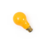 Ampoule inactinique orange B22 230V