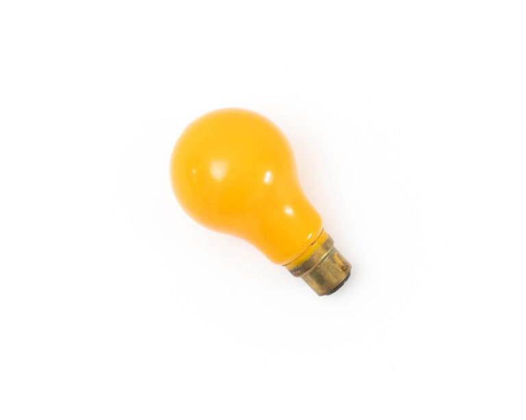 Ampoule inactinique orange B22 230V